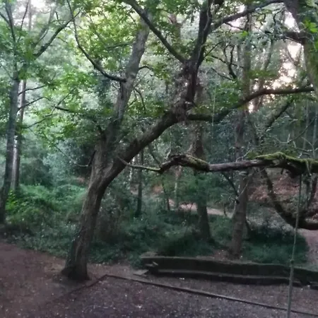 La Casa De Aldán Entre El Mar Y El Bosque